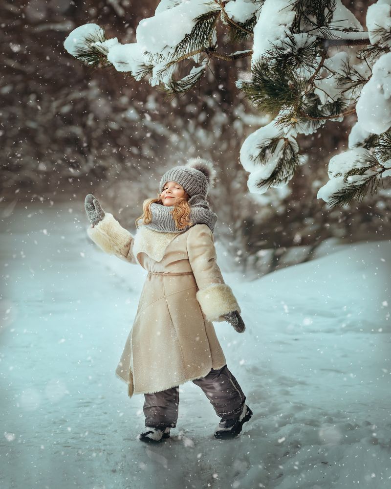 Зимний полёт