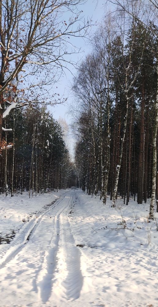 Photograph by Алёна