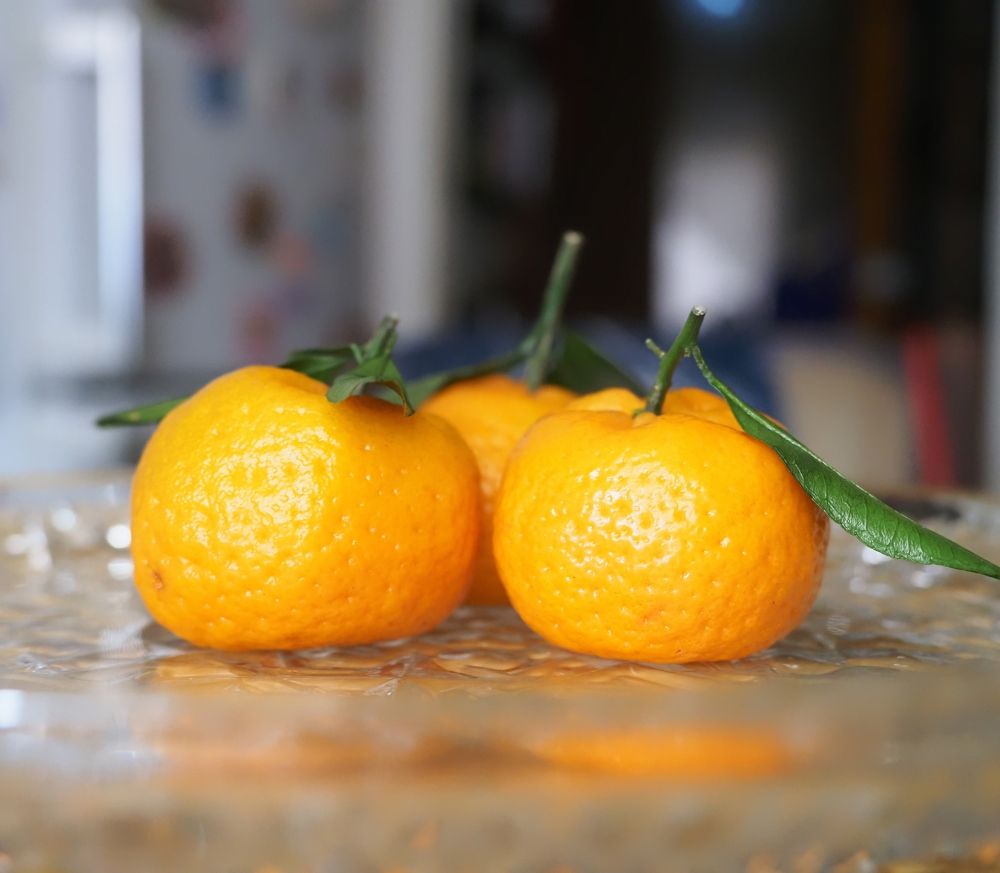 Photograph by Татьяна Борисовская