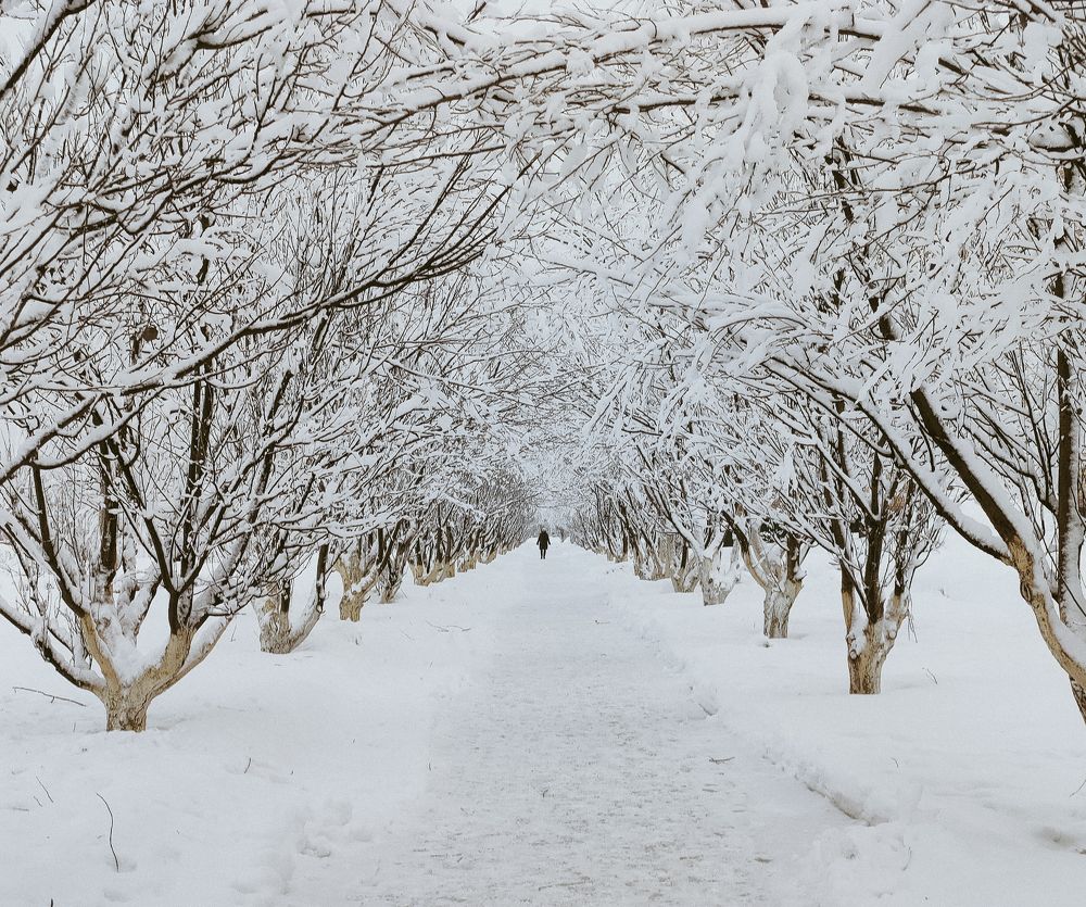 Photograph by Илья Хрусталев