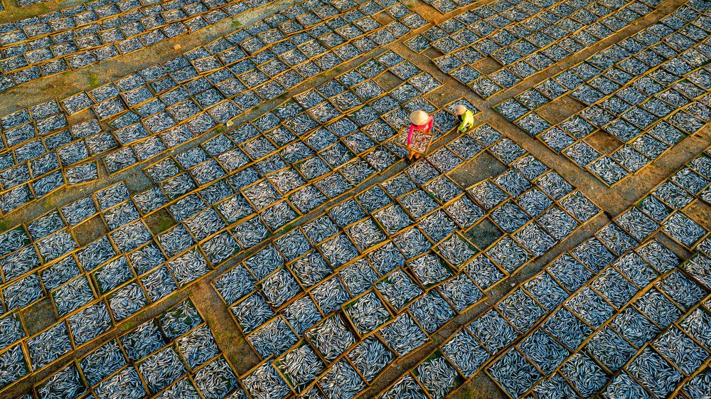 Photograph by Minh Tú Nguyễn