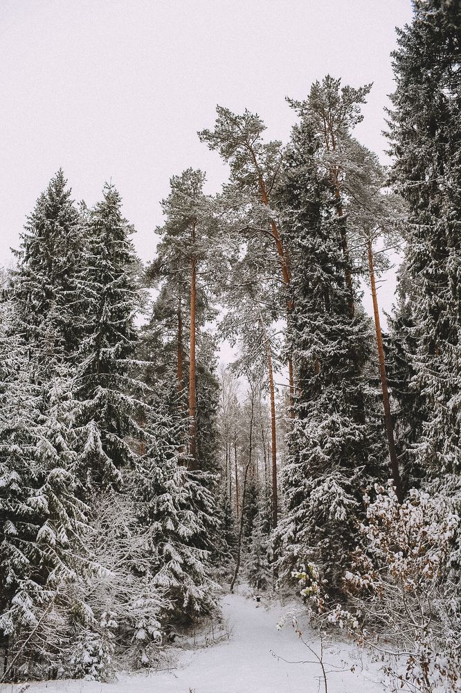 Photograph by Илья Хрусталев