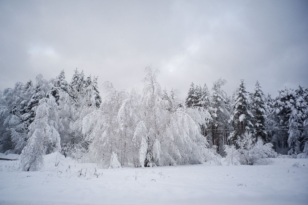 Photograph by Илья Хрусталев