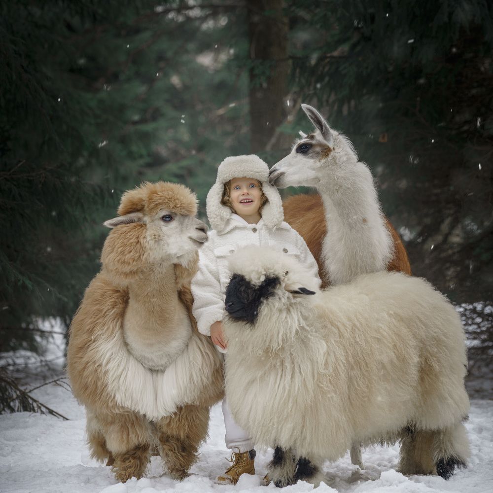 Photograph by Сергей Танков