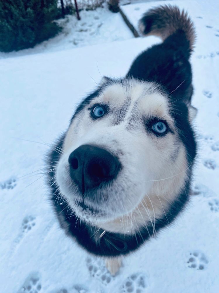 Photograph by Catalina Sirbu