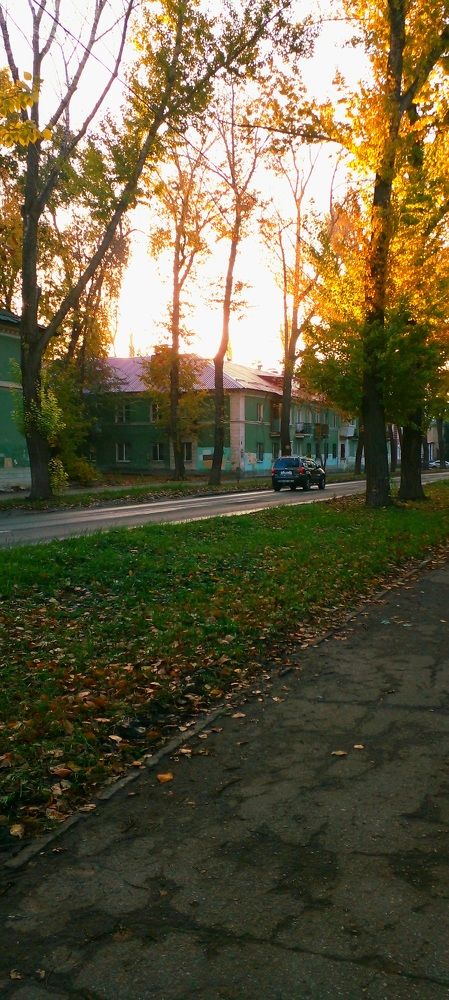 Photo #10047635