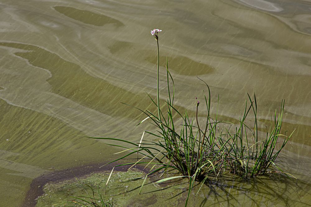 Photograph by виктор ковчин