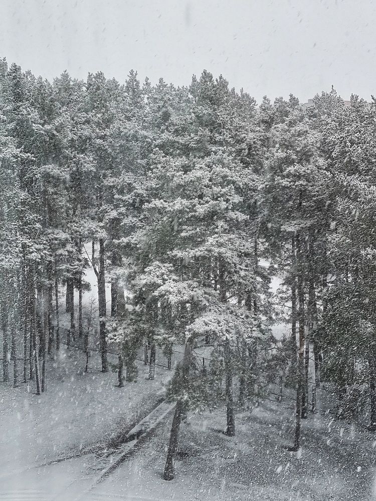 Фотография автора Дана Богинская