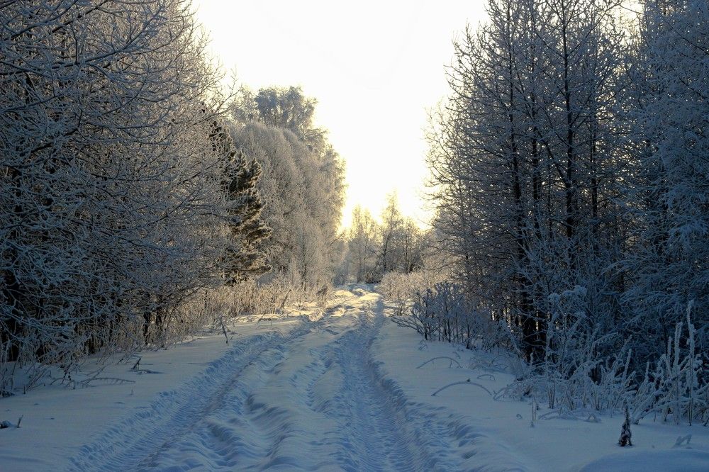 Сибирская красота