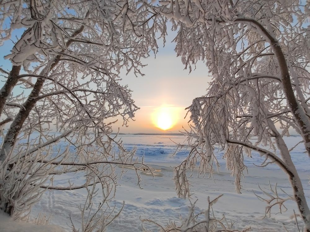 Photograph by Наталья Горовых