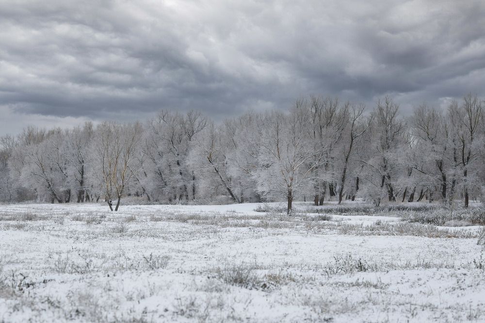 Морозное утро