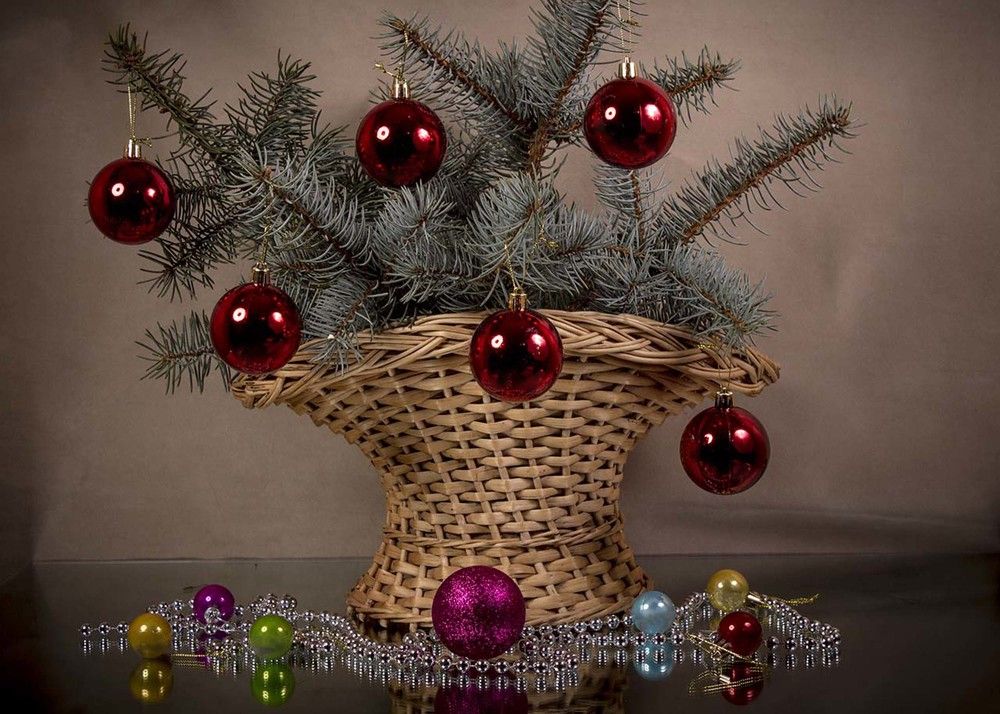 Photograph by Людмила Павловна