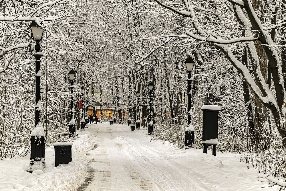 Photograph by Игорь Егоров