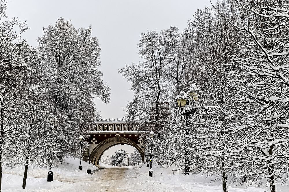 Photograph by Игорь Егоров