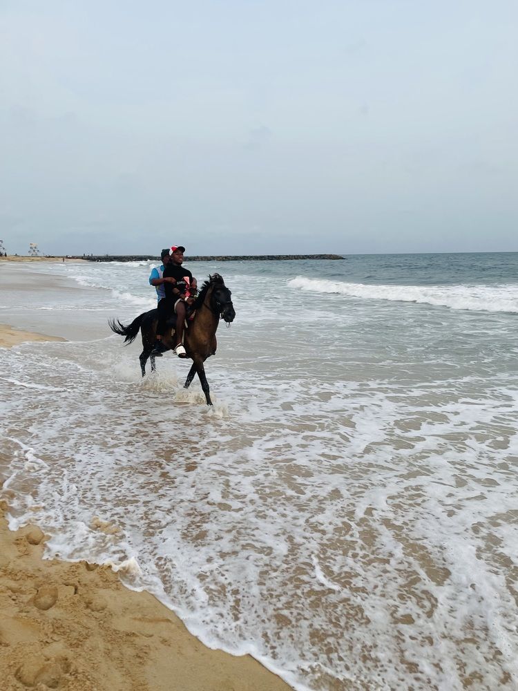 Horse riding at the beach