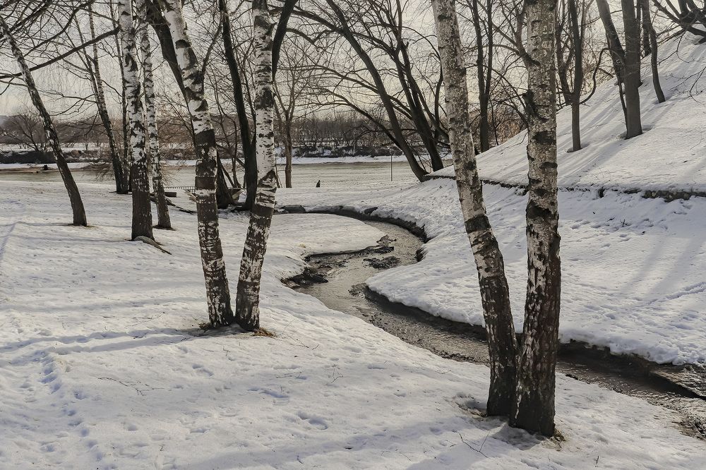 Photograph by Игорь Егоров