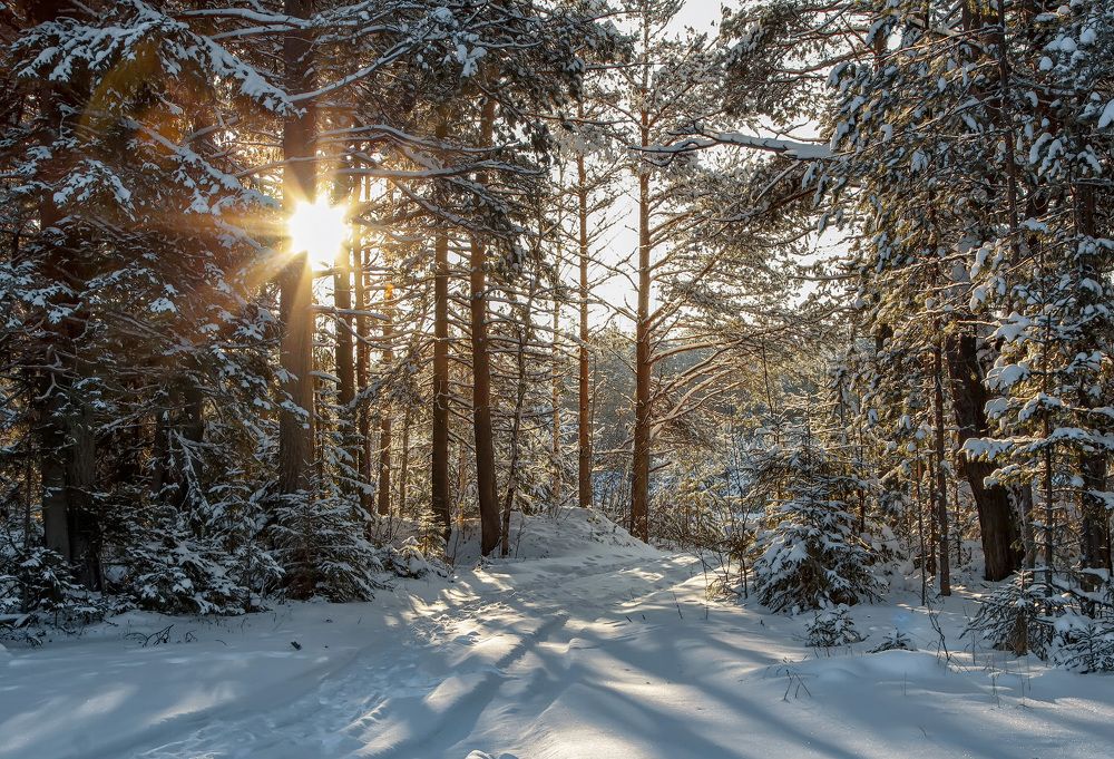 Photograph by Владимир Архипов