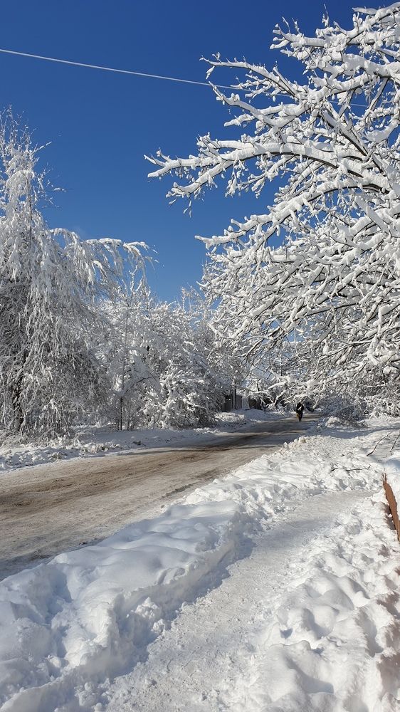 Photograph by Яна Афанасьева