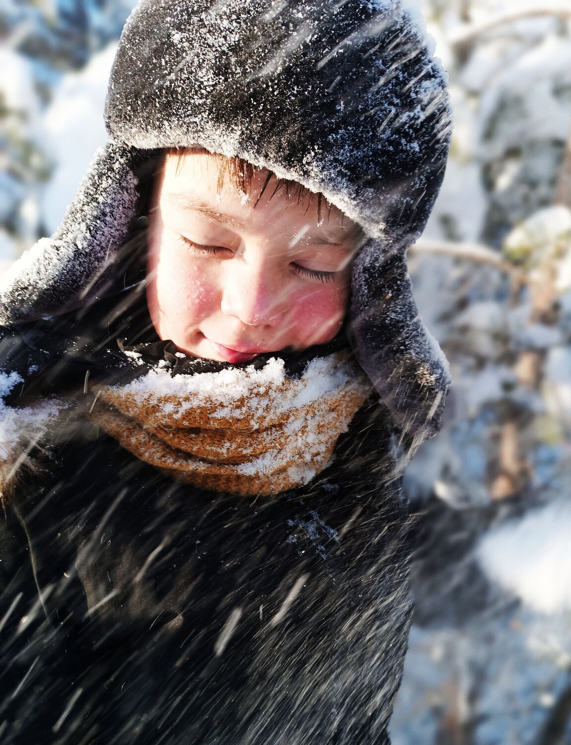 Photo #10047877