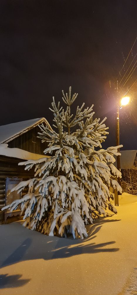 Photograph by Natasha Kim