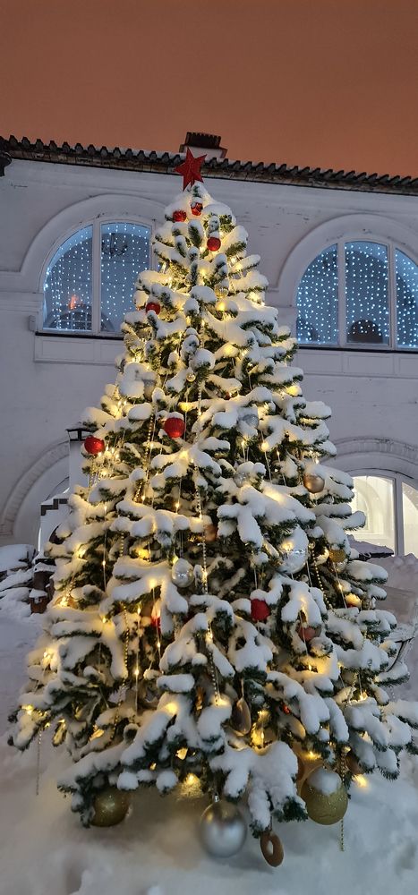 Photograph by Natasha Kim