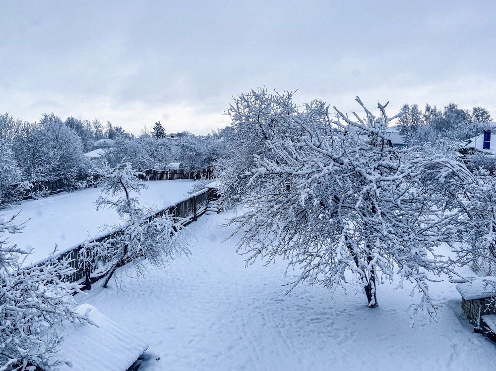 Photograph by Татьяна Зенина