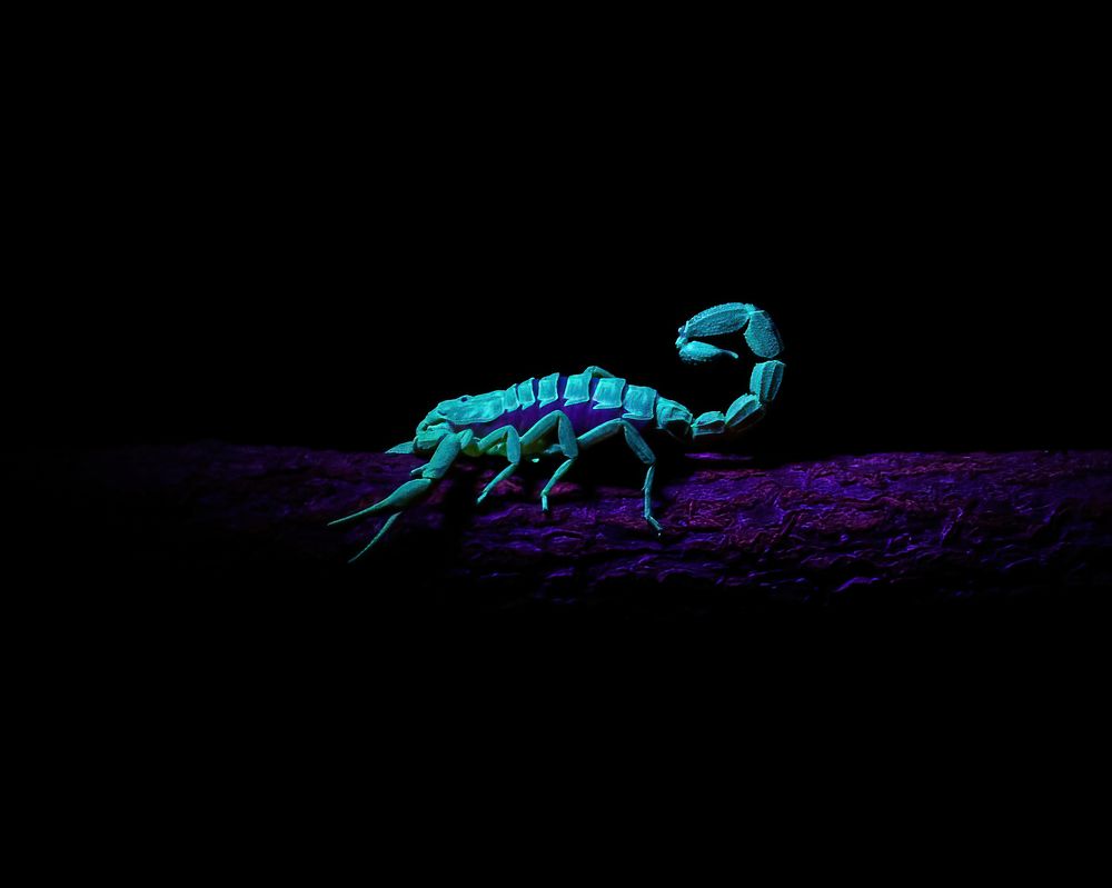 Фотография автора Hari Venkatesh