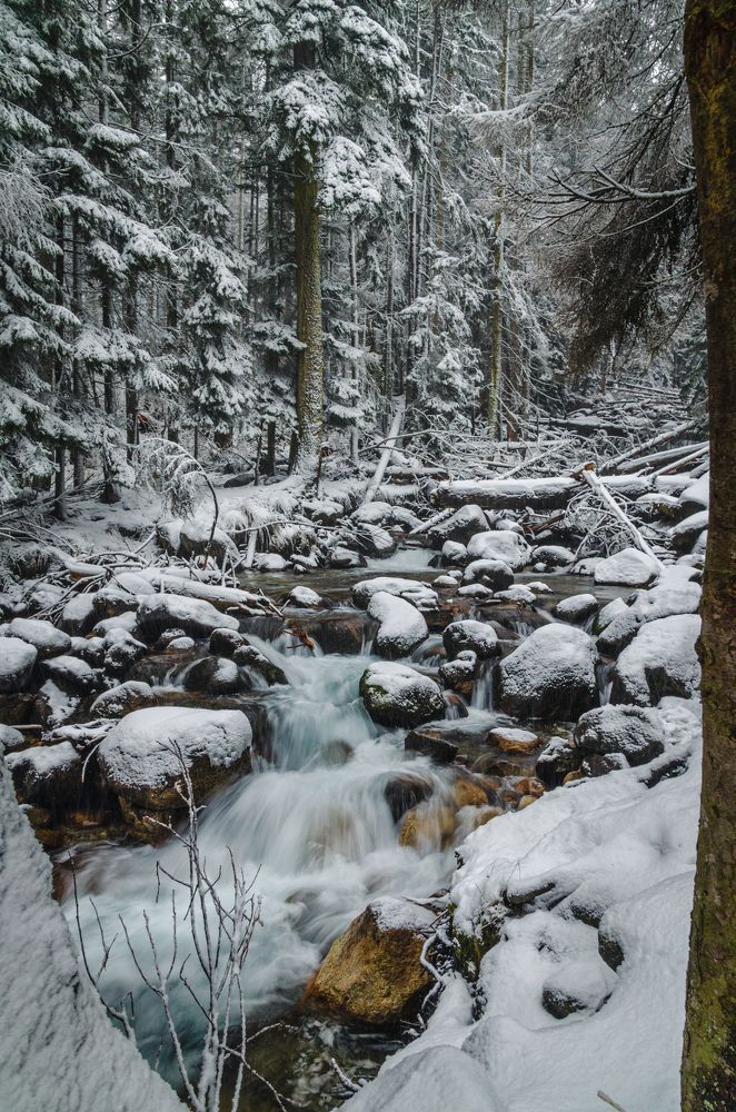 Photograph by Иван