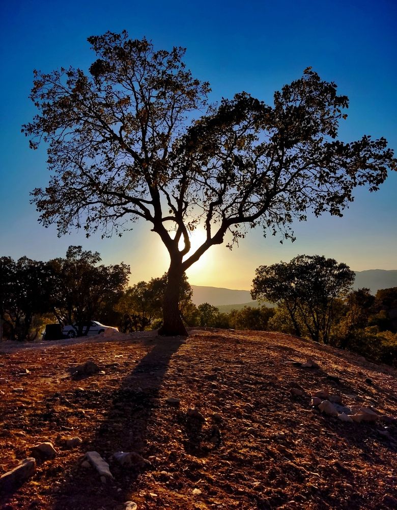 Photograph by Mohammadhossein Shariati