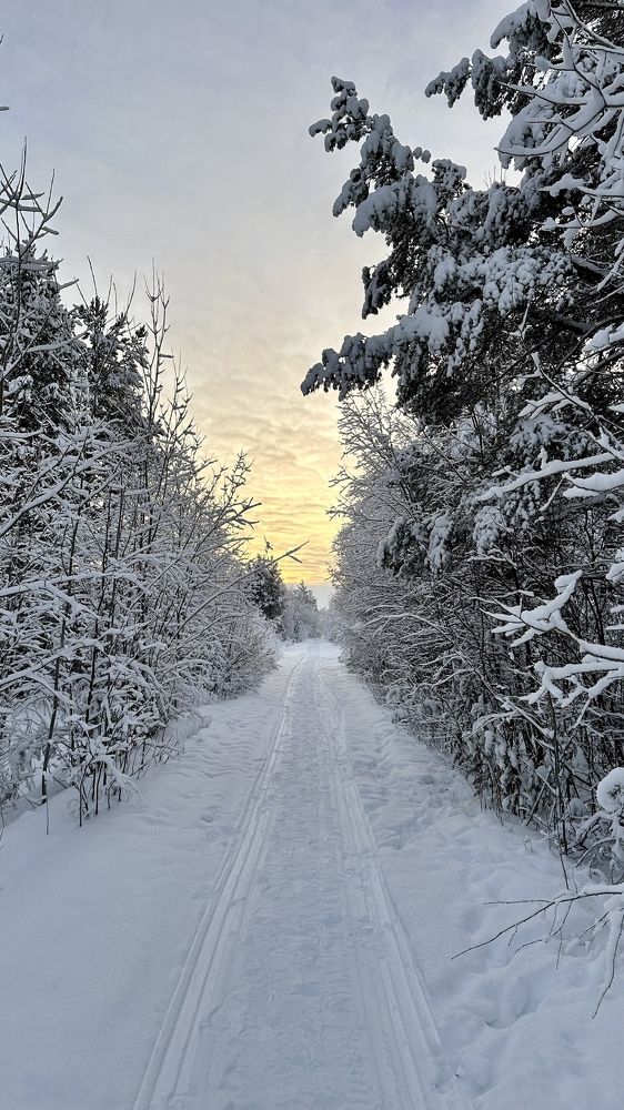 Photograph by Юлия Казимирова