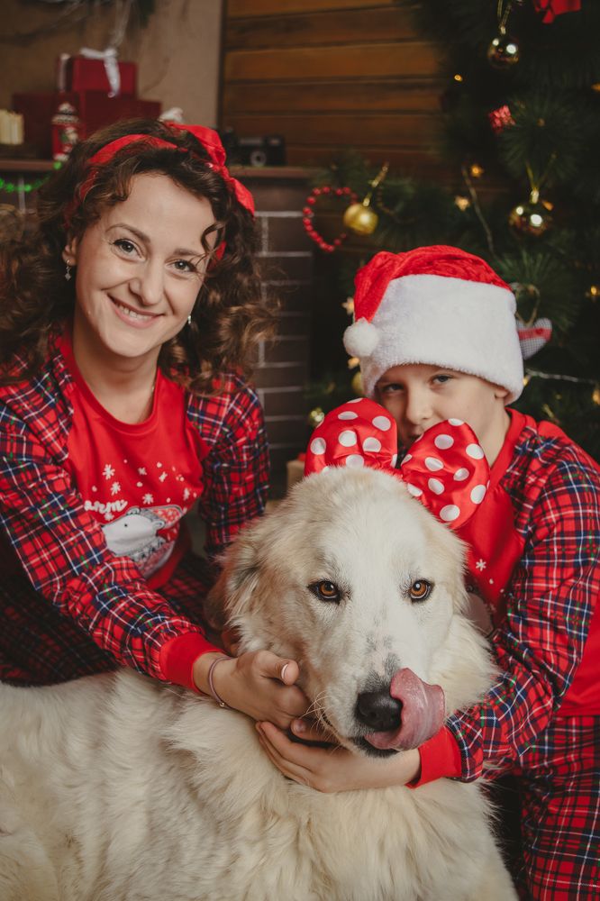 Photograph by Екатерина Степоненкова