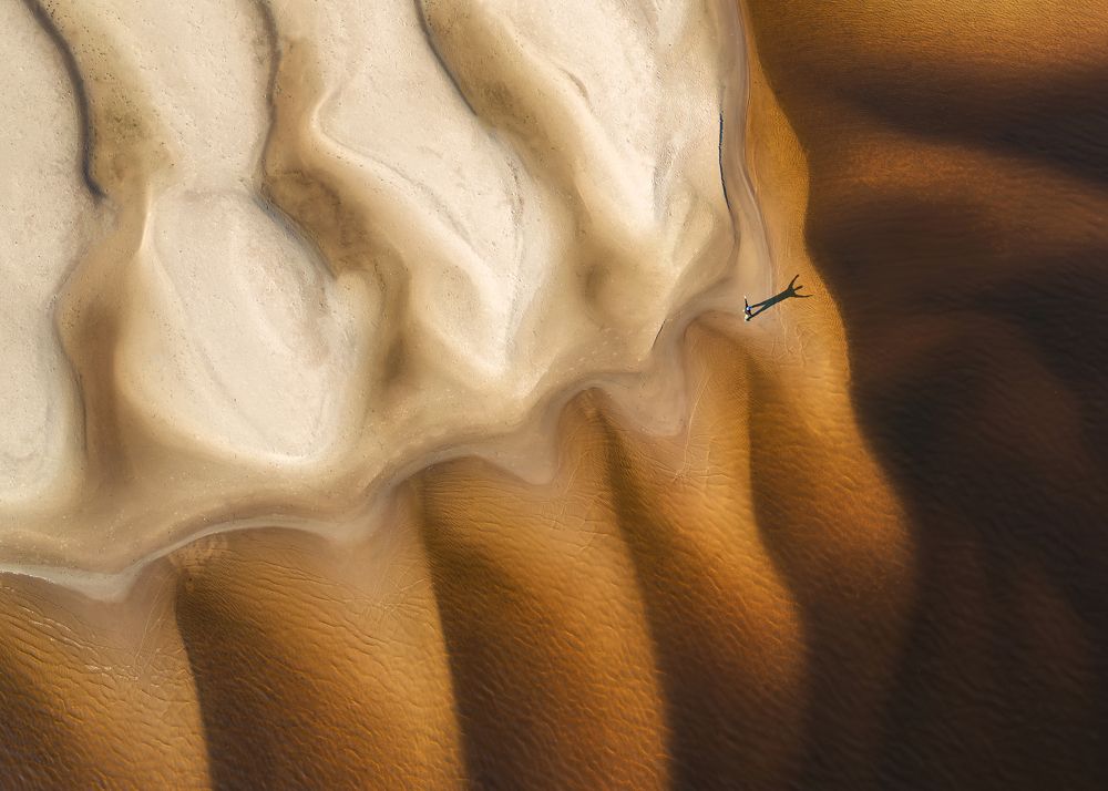 The geometry of nature