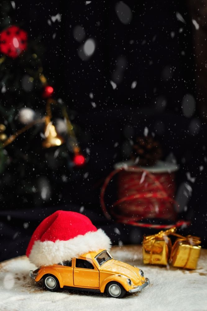 Фотография автора Екатерина Карасева