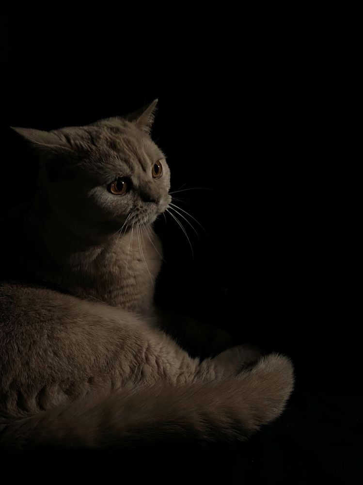 Photograph by Jelena Ivanoviene