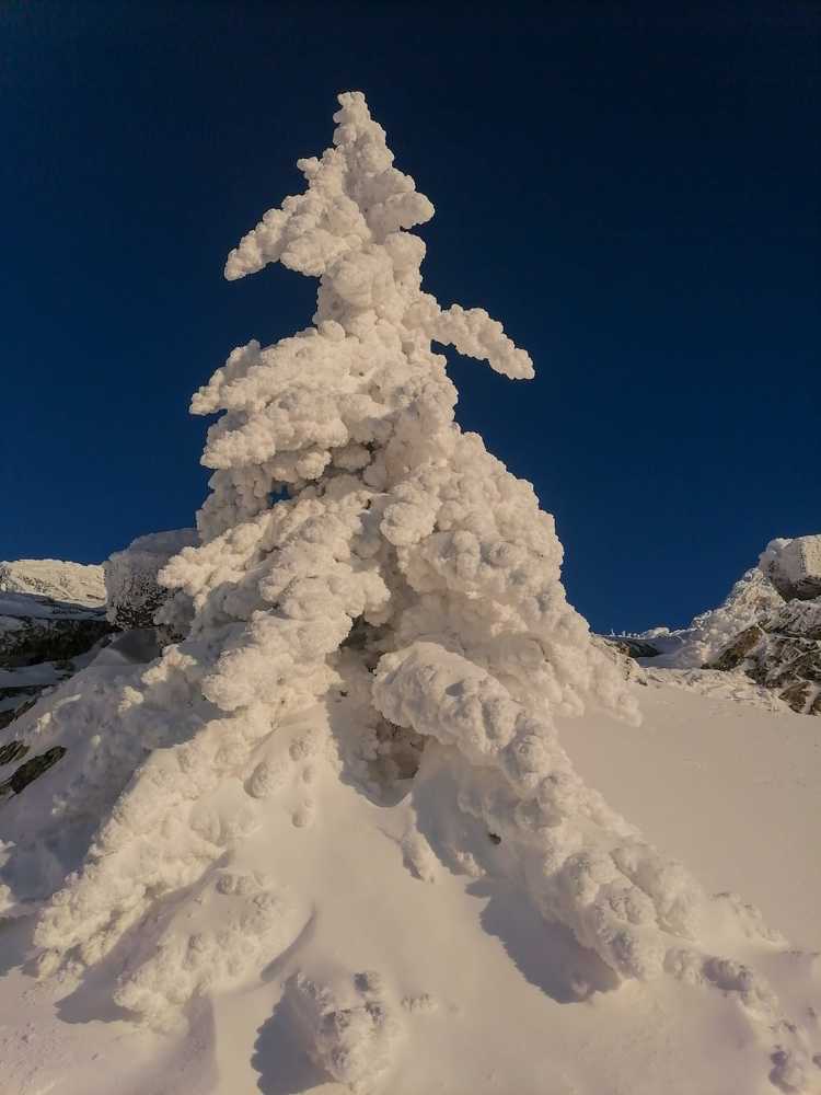 Photograph by Лара