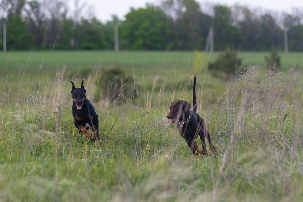 Photograph by Наталья Романова