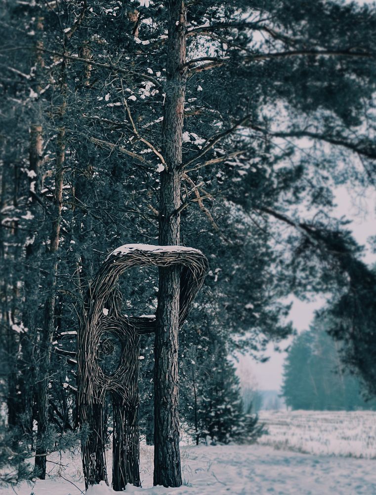 Photograph by Shu r1ck