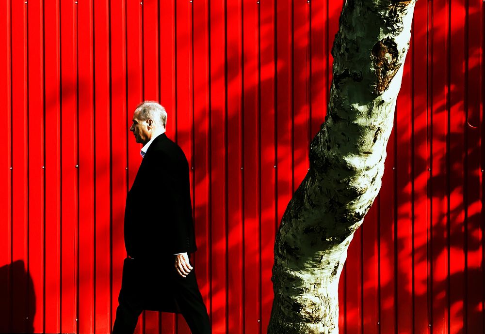 Photograph by Amin Mahdavi