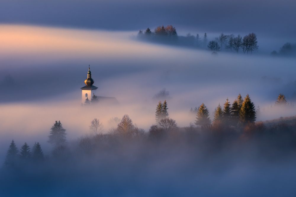 Emerging from the fog