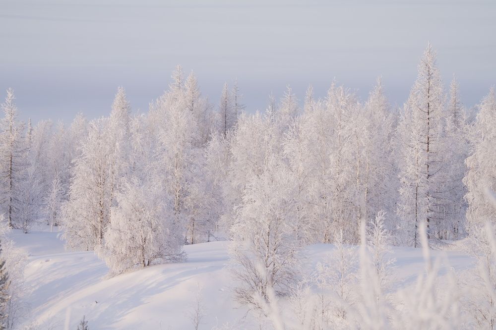 Фотография автора Viktoriya Kim