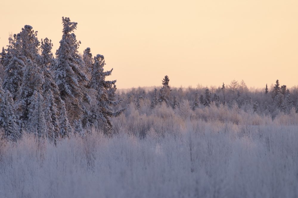 Фотография автора Viktoriya Kim