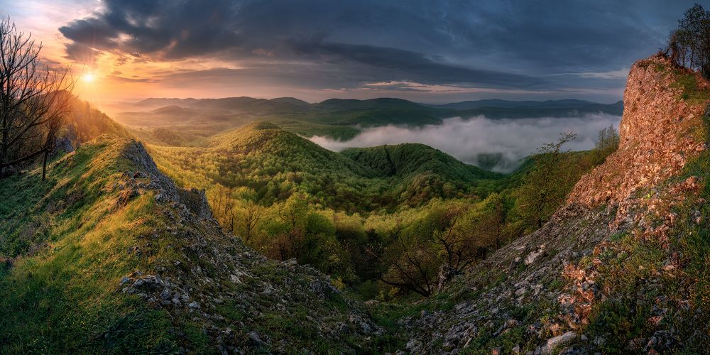 Little Carpathian morning