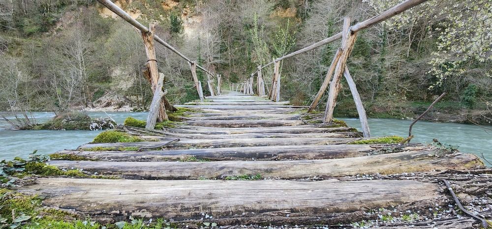 Photograph by mikhail goryachev