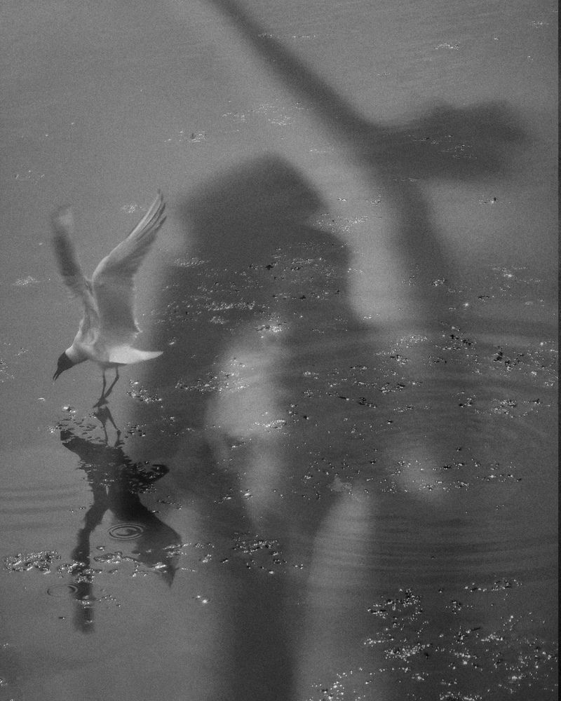 Photograph by Inna Sknara