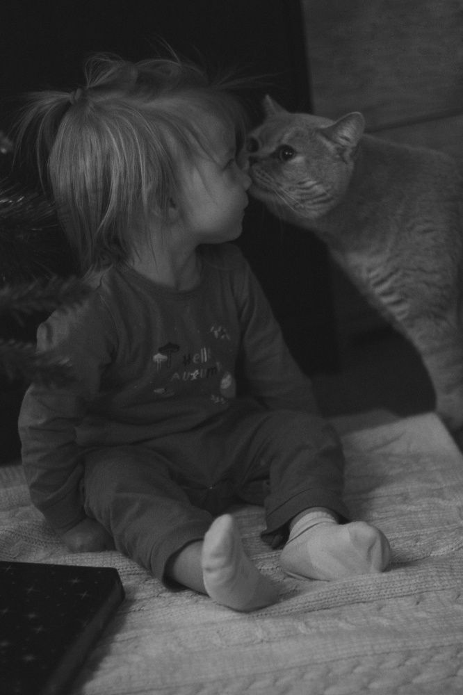 Фотография автора Анна Викторовна