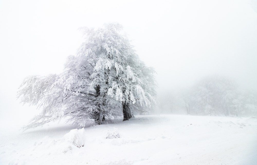 Photograph by Robert Istodor-Iocsa