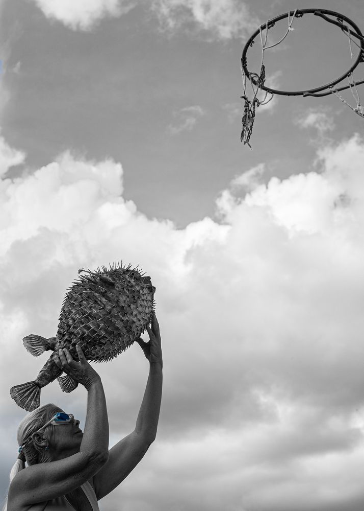 Inflación de la serie Seres de isla.