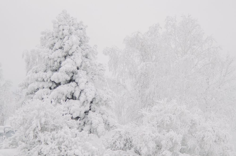 Photograph by Дмитрий Зуев