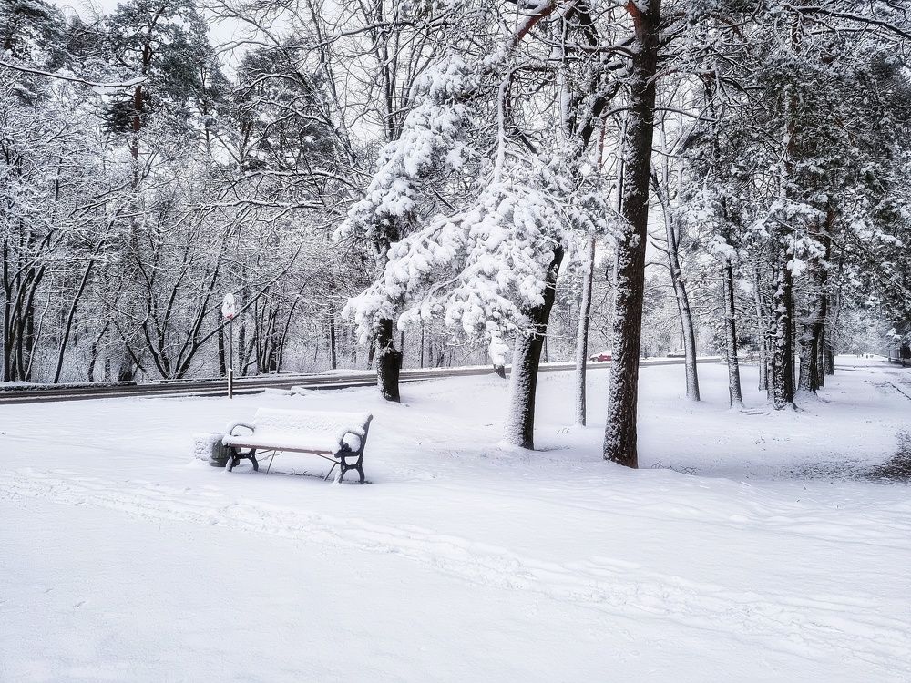 Фотография автора Дана Богинская