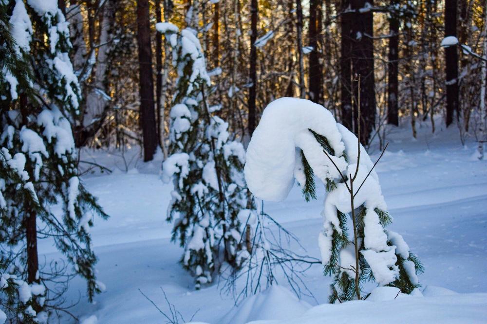 Photograph by Сауия Назмутдинова